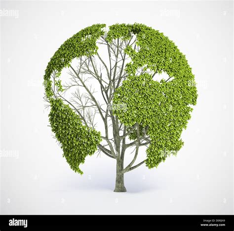 Element Earth Tree 的图像结果