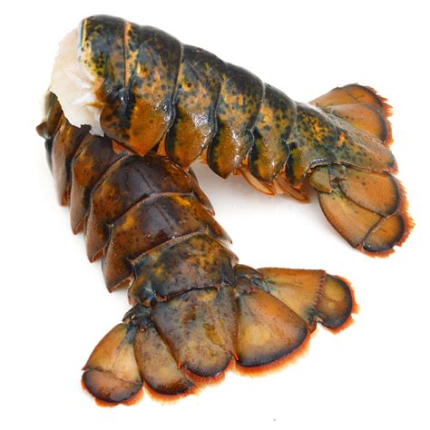 Lobster Tails – LV Seafood