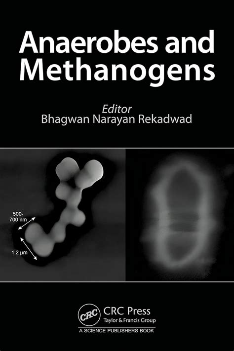 Buy Anaerobes and Methanogens Book Online at Low Prices in India ...