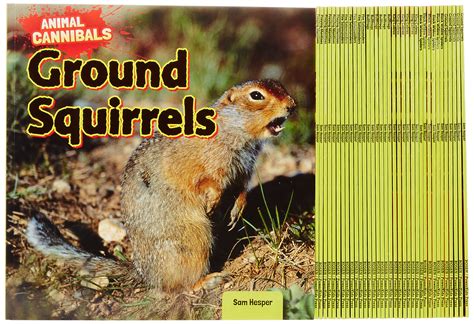 Buy Animal Cannibals: Black Widow Spiders/ Bullfrogs/ Fire Salamanders ...