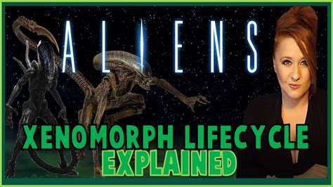 Image result for Alien Xenomorph Life Cycle