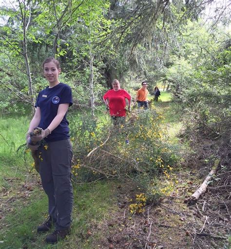Clearing invasive scotch broom at Siletz Bay Refuge | FWS.gov