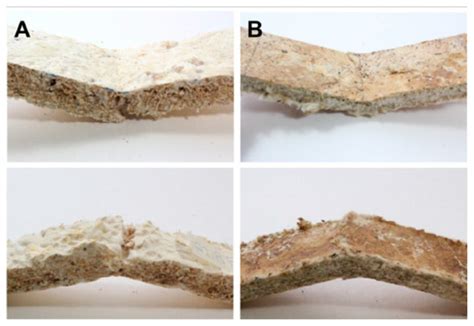 Sustainability | January-1 2019 - Browse Articles