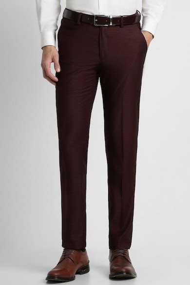 Buy Men Maroon Textured Slim Fit Formal Trousers Online - 927067 ...