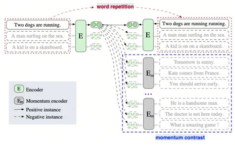 Simultaneous embedding Applications 的图像结果