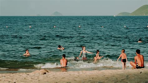 Swimming in the Ocean 的图像结果