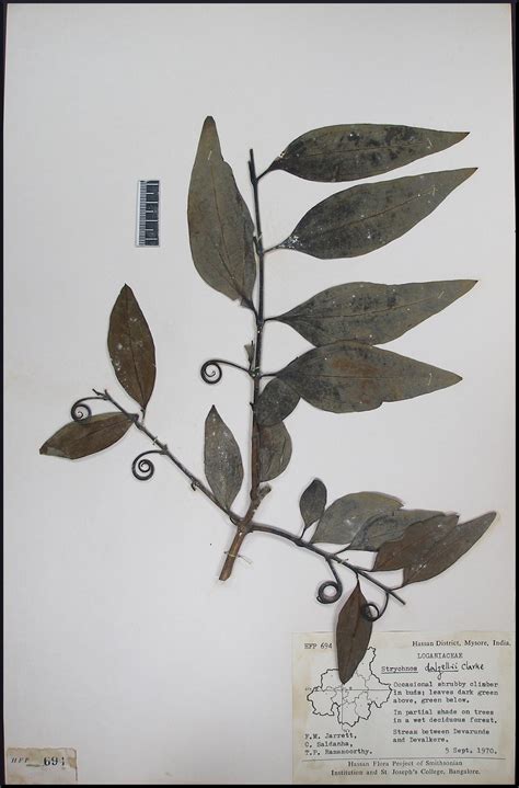 Herbarium JCB