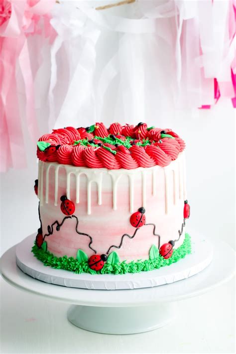 Image result for Ladybug Cake Tutorial