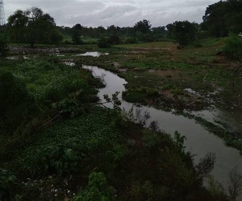 कांव नदी पर बनेगा डैम, सिचाई के काम आएगा पानी