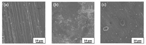 The Effects of a Multifunctional Rust Inhibitor on the Rust Resistance ...