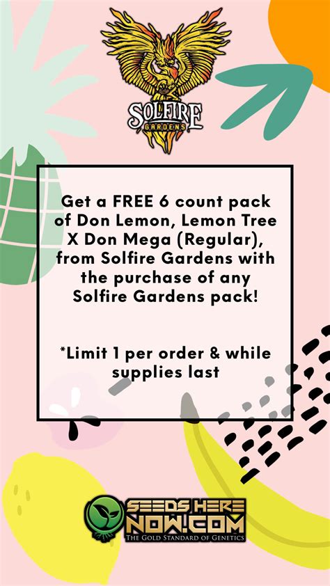 Seeds Here Now — Shop Now