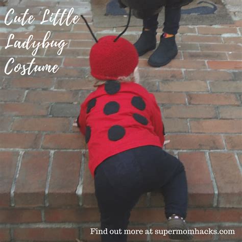 DIY Halloween Costumes: Cute Little Ladybug - Super Mom Hacks