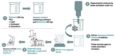 Optimized Polymer-Lipid Hybrid Nanoparticles for Enhanced Delivery and ...