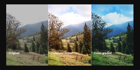 Image result for Piximperfect Color Gradding