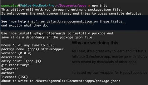 Image result for API Wrapper