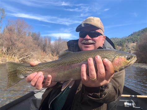 Trinity River Fish Report - Trinity River - Same story, different day ...
