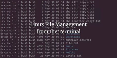 Image result for Linux Disk and File Management