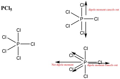 [Solved] Please explain well concept and with a very good explanation ...