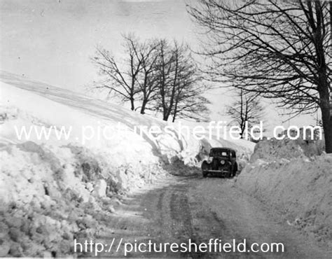 Searching Picture Sheffield