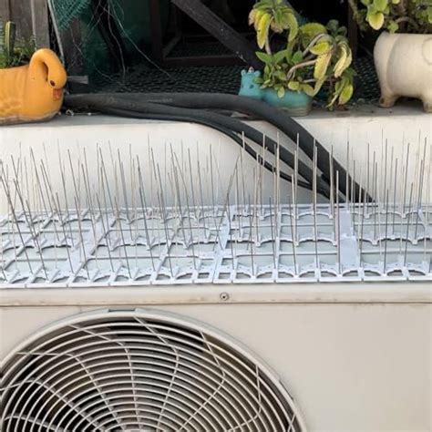 Dormaster Pigeon Spikes for AC - Stainless Steel Bird Spikes for Split ...