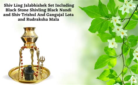 Buy SHIVDEV CRAFT Shivling Abhishek Brass Stand Lota/Kalash & Pooja ...
