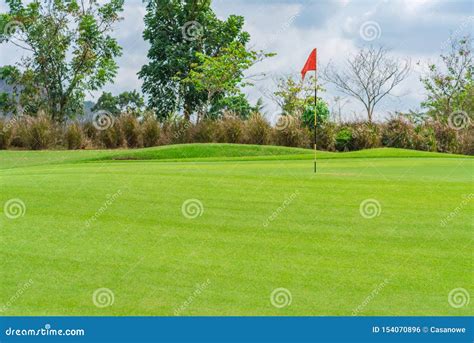 Golf Court 的图像结果
