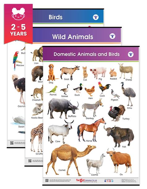 Buy Jumbo Domestic and Wild Animals & Birds Charts for Kids | Learn ...