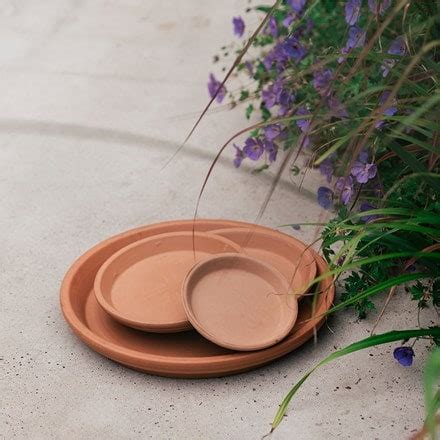 Buy terracotta pots - Brand: Deroma - Delivery by Waitrose Garden
