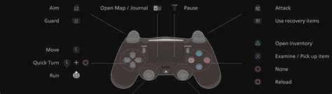 Image result for Director Mode Control Buttons PS4