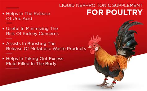 REFIT ANIMAL CARE Nephrocare Liquid Supplement for Poultry, Chicken ...