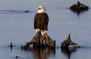 Kilmar Abrego Garcia, Who Was Mistakenly Deported, Can Spend Christmas ...