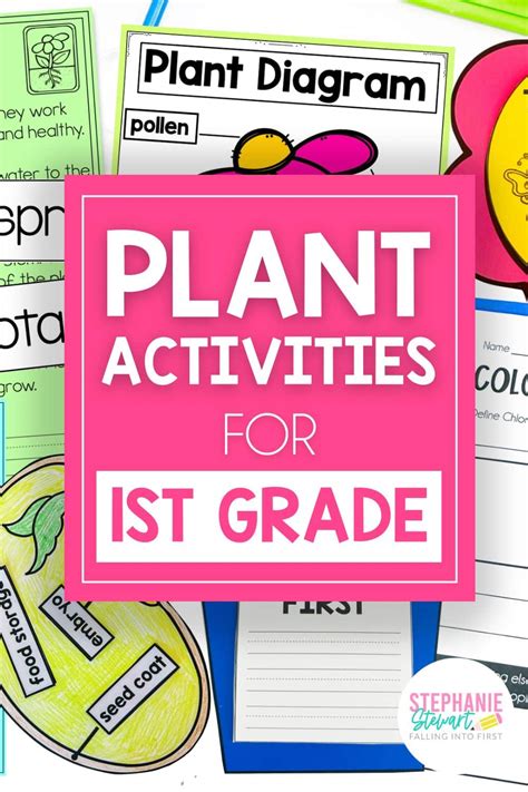 Image result for Plant Lesson First Grade