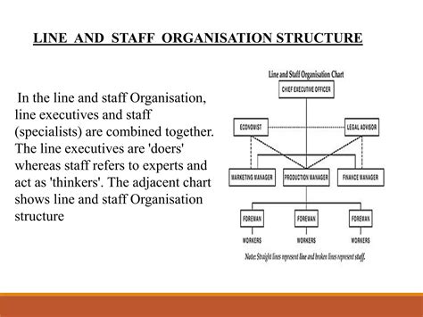 L Types Organization Structure 的图像结果