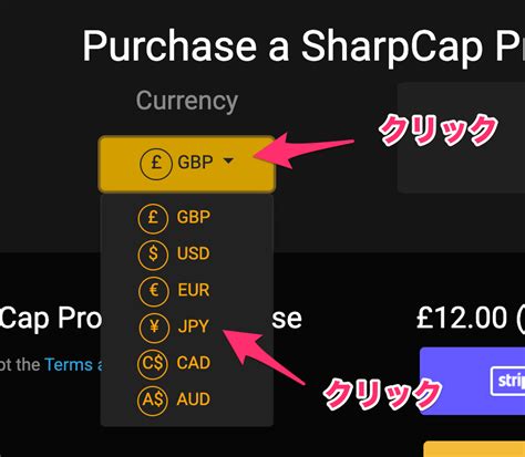 SharpCap Pro 的图像结果