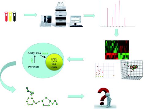 Machine Learning Applications For Mass Spectrometry-based Metabolomics ...