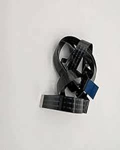 Amazon.in: Buy Brother White/Black Scanner Cable Flat (12 PIN) for DCP ...