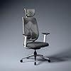 Green Soul Zodiac Superb Office Chair (2026) | Upgraded Cushioned ...