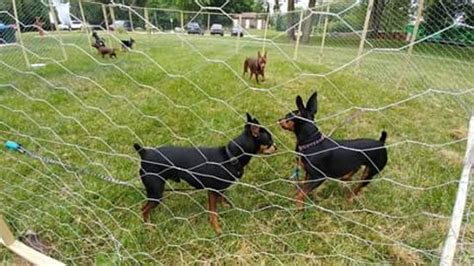 Wonch Park (Okemos) - 2020 What to Know Before You Go (with Photos ...