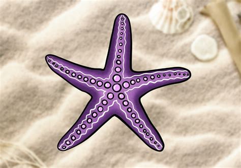How To Draw A Starfish Learn To Draw A Starfish