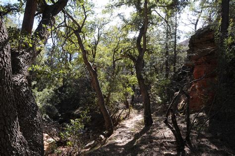 Arizona Hiking: LONG CANYON TRAIL #122