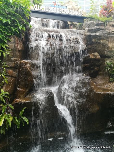 Airport attractions- KLIA Jungle Boardwalk - The Airline Blog