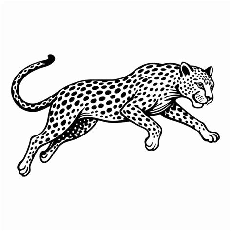 Onca Pintada Desenho Imagens – Download Grátis no Freepik