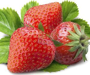 Fresh Natural Fruits,Fresh Lady Finger,Fresh Green Chilli Exporters ...
