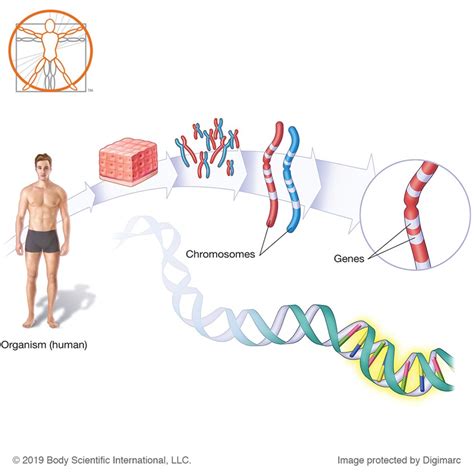Interesting Genetics 的图像结果