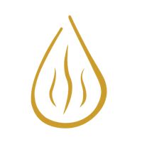 Learn Arabic with university-trained teachers. - Leiden - Private lessons