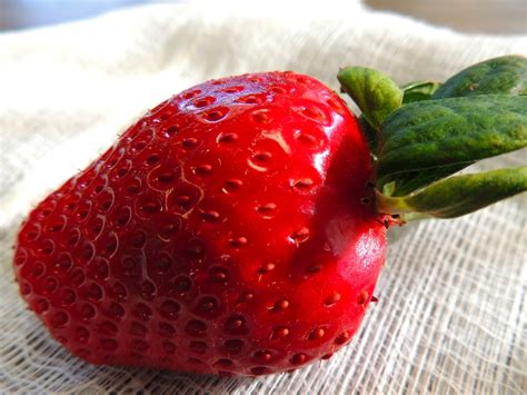 What Are Food Examples Of Nucleic Acids at Jerry Cook blog