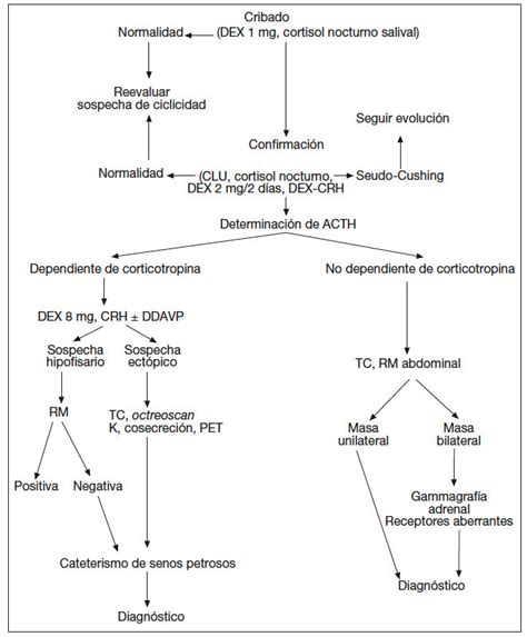 Image result for Dynamic Programming Flowchart TSP