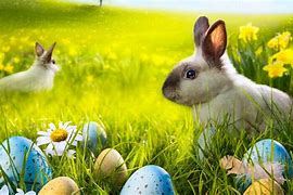 Image result for Spring Bunnies Desktop