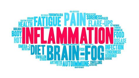 Brain Health and Chronic Inflammation – Dr. Rao’s Insights