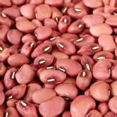 List of 50 Pulses in India